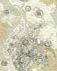 CB21406