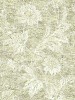 CB21503