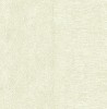 CB24507