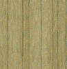 GA50504