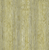 GA50600