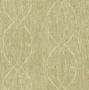 GA51117