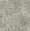 BU21009