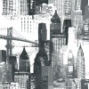 NY90010
